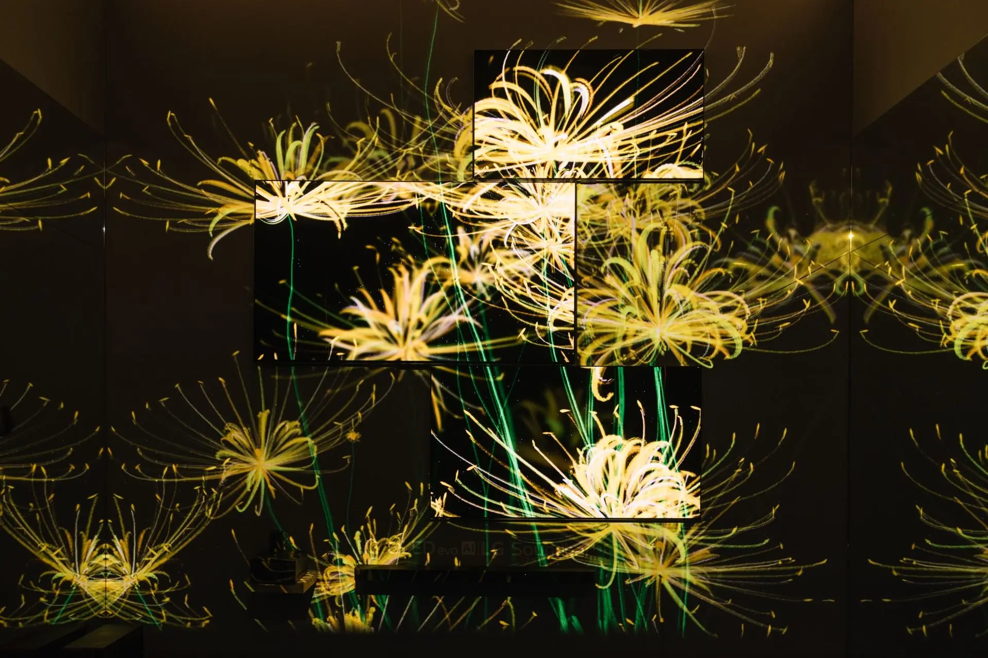 展覽作品 4