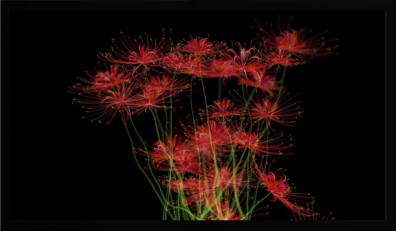 The Flower of the Other Shore - The Eternal Garden Series