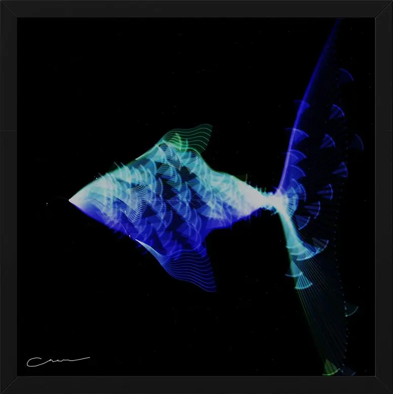 Soul Fish - The Soulful Verses Series